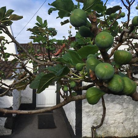 Rosa do Canto Monte (Azores) Exterior foto