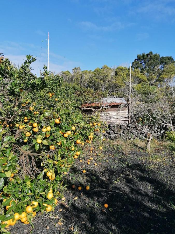 Rosa do Canto Monte (Azores) Exterior foto