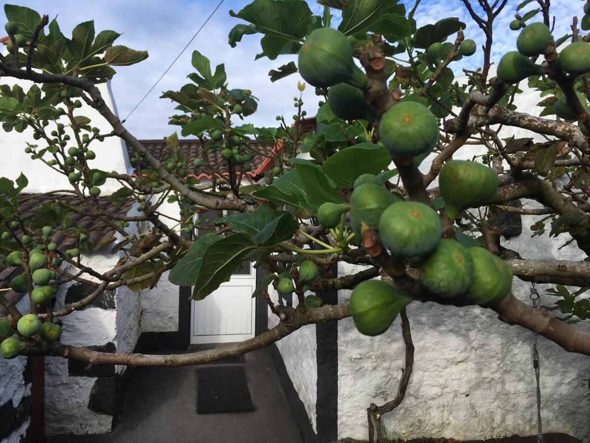 Rosa do Canto Monte (Azores) Exterior foto